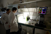 Biotechnology: the research on the production of biofuels from microalgae