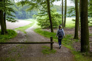natuurbeeld