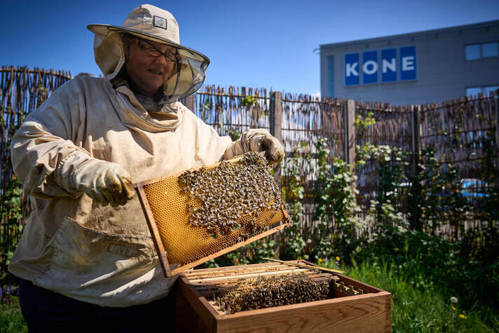 Op het terrein van Kone wordt honing gemaakt door bijen